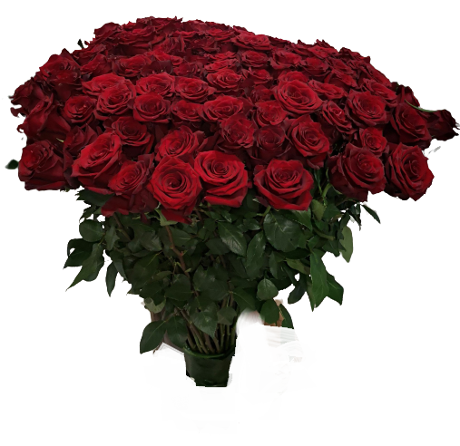 100 Rose Rosse Extra di tre misure