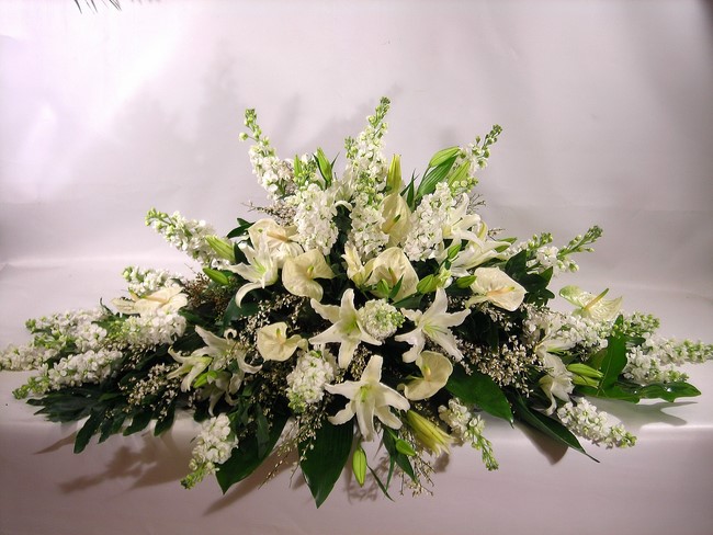 Cuscino mix White