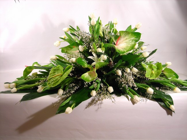 Cuscino anthurium white and green