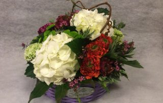 Fiori per interni
