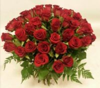 100 rose rosse