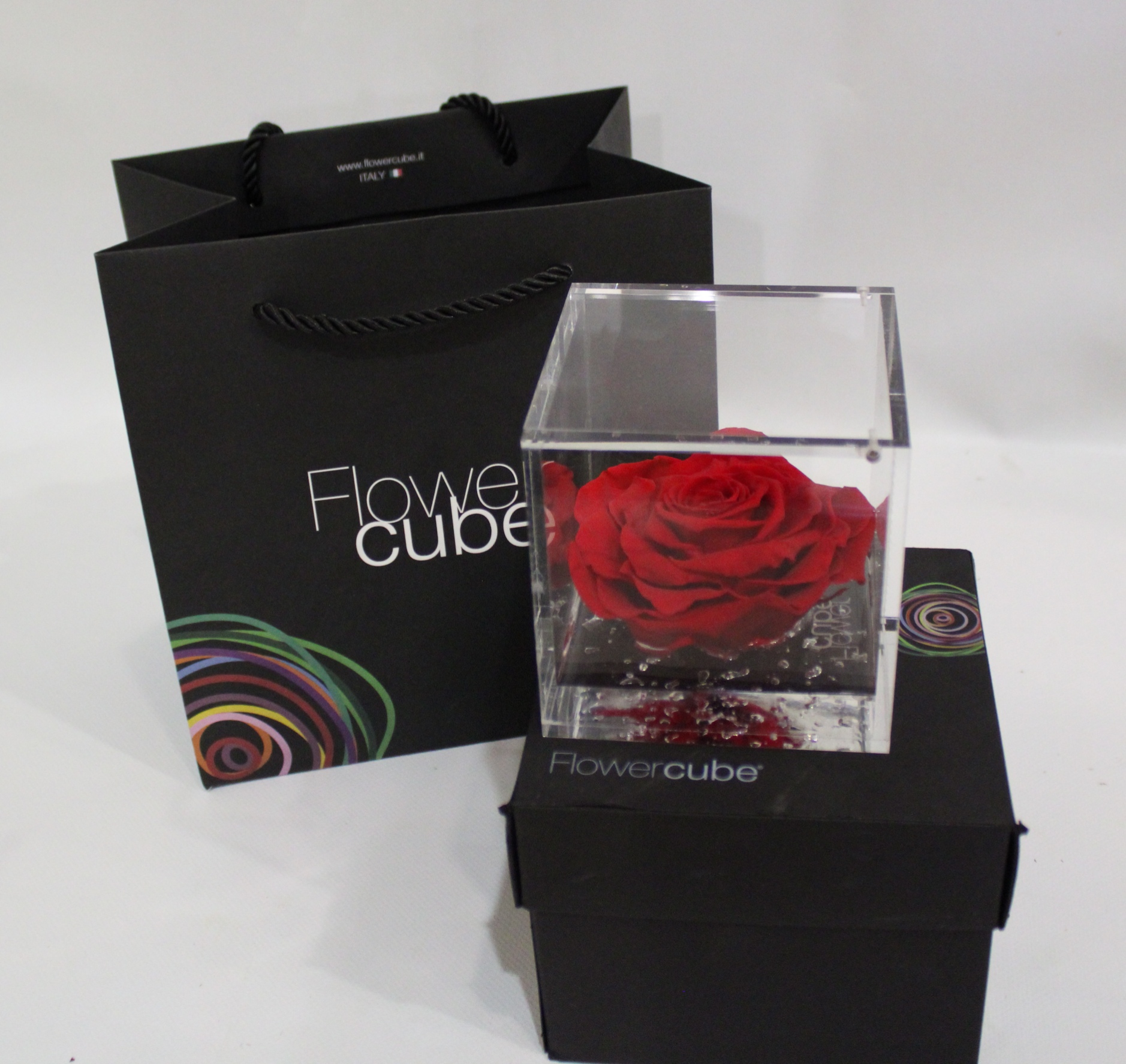 #Stabilized Roses - immagine 2