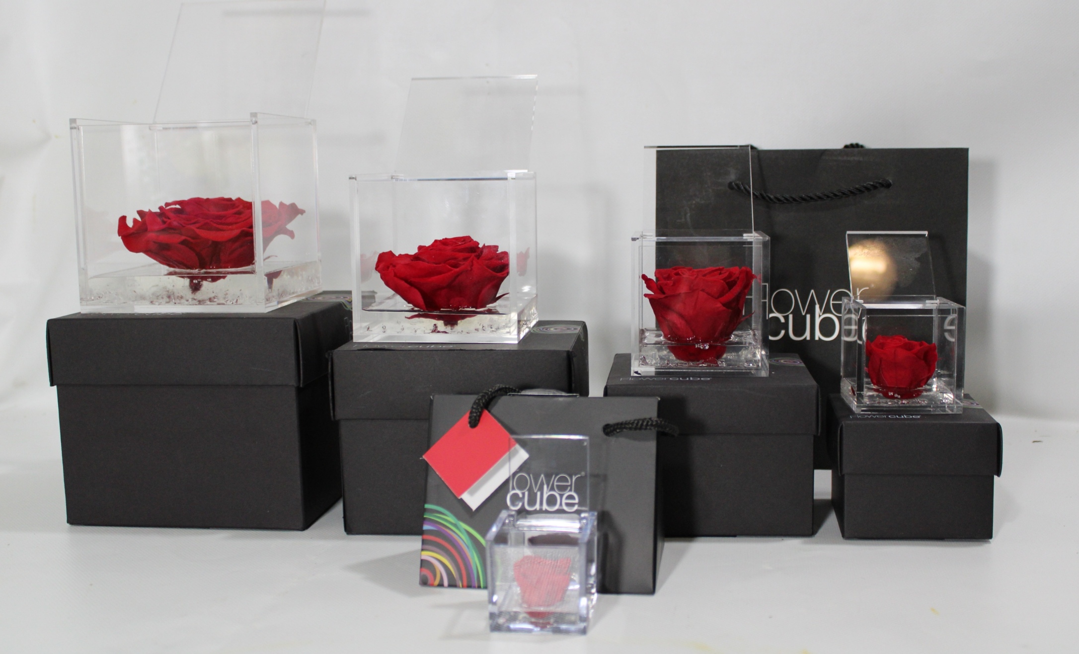 #Stabilized Roses