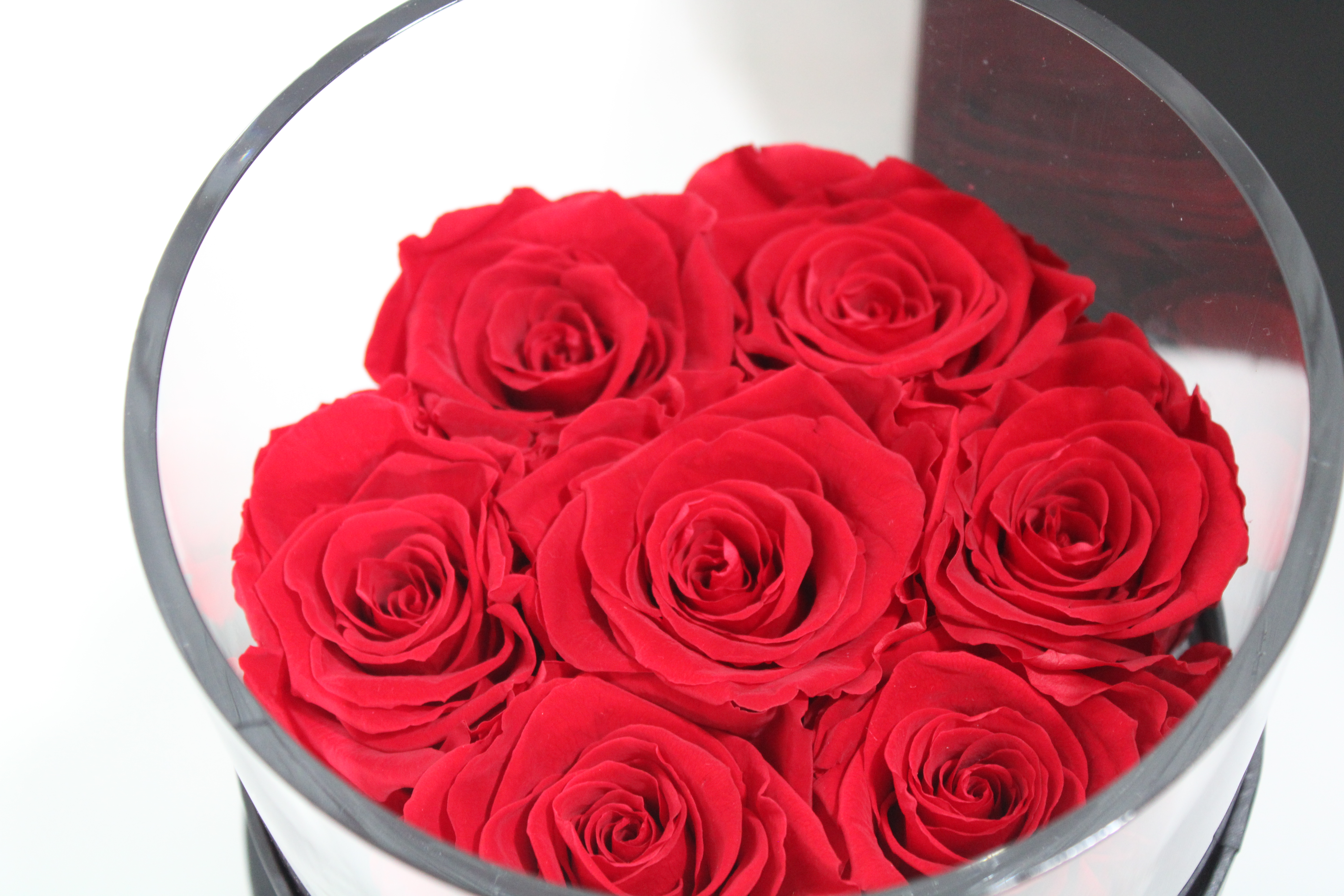 #7 Roses stabilized Platinum - immagine 2