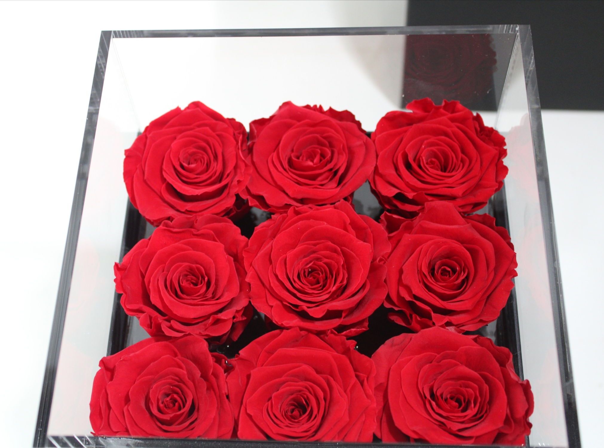 # 9 Roses stabilized platinum - immagine 2