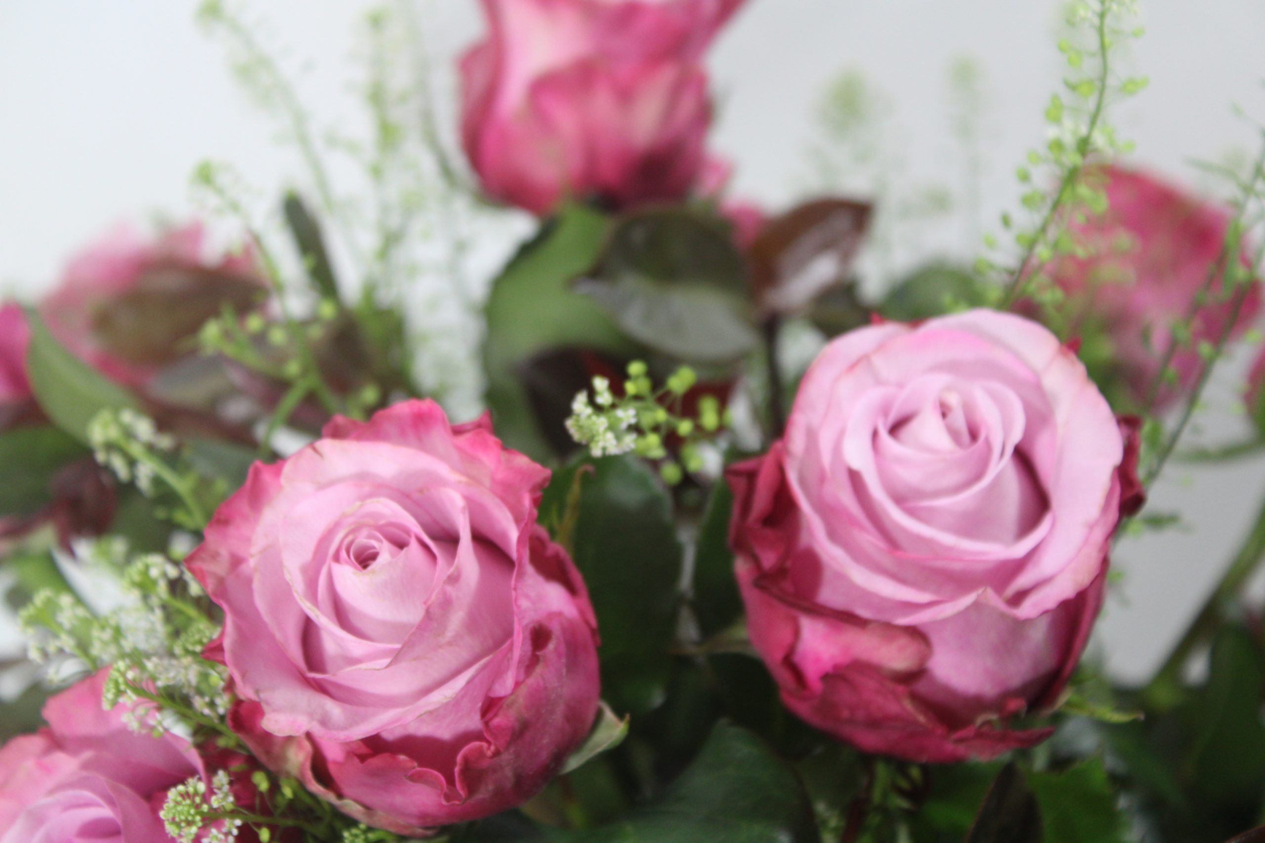 #Wonderfulmom - immagine 2