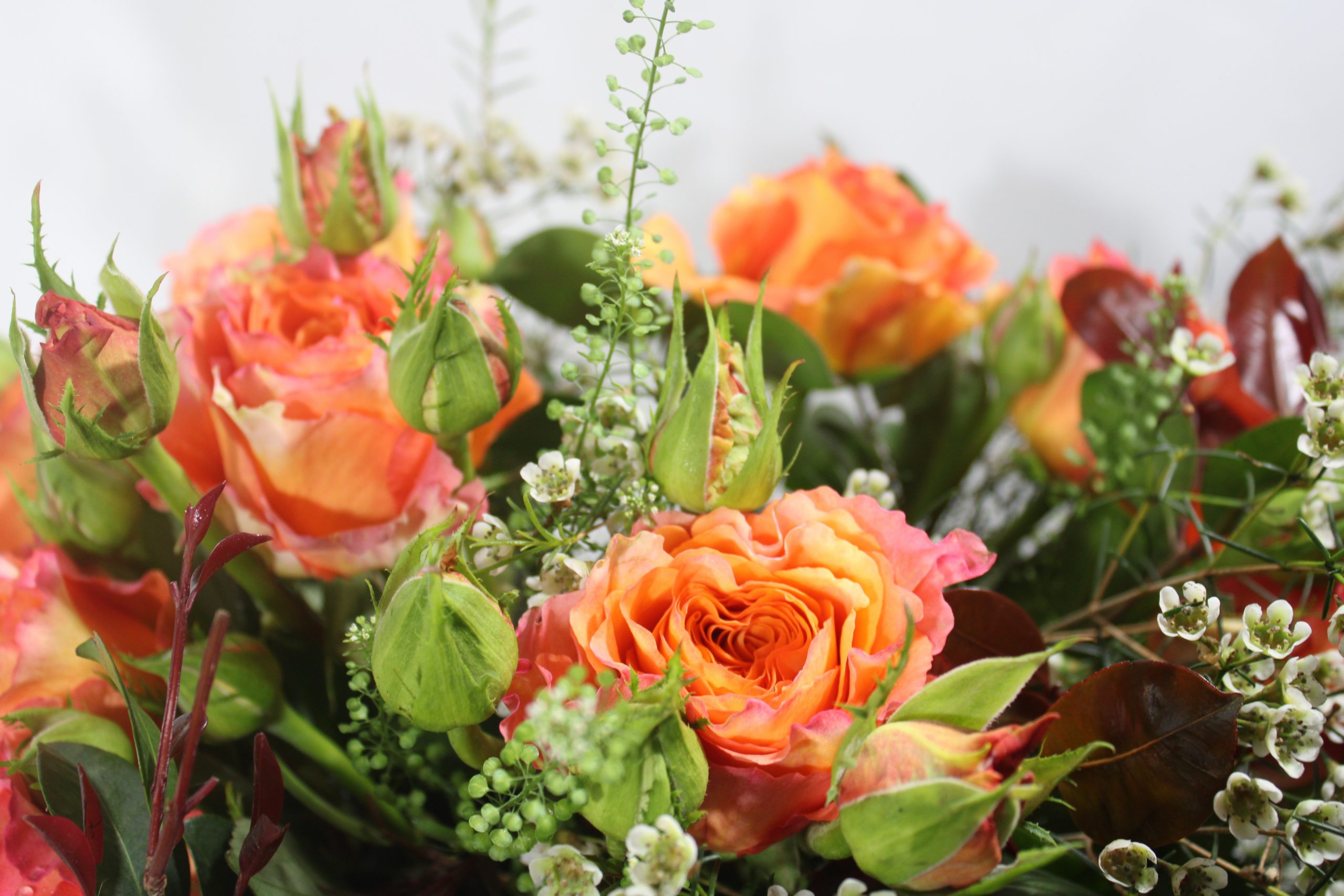#Cheerfulmom - immagine 3