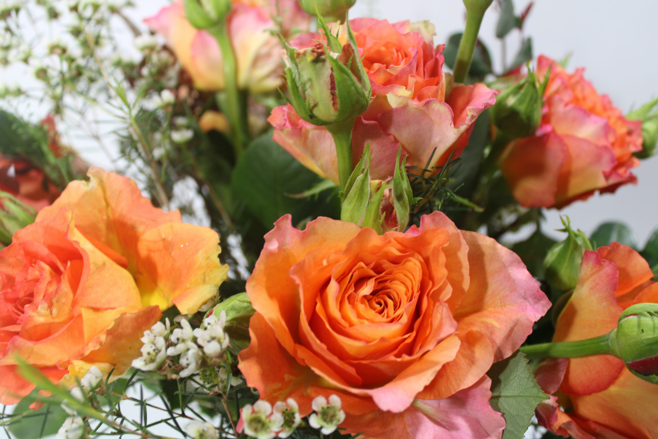 #Cheerfulmom - immagine 2