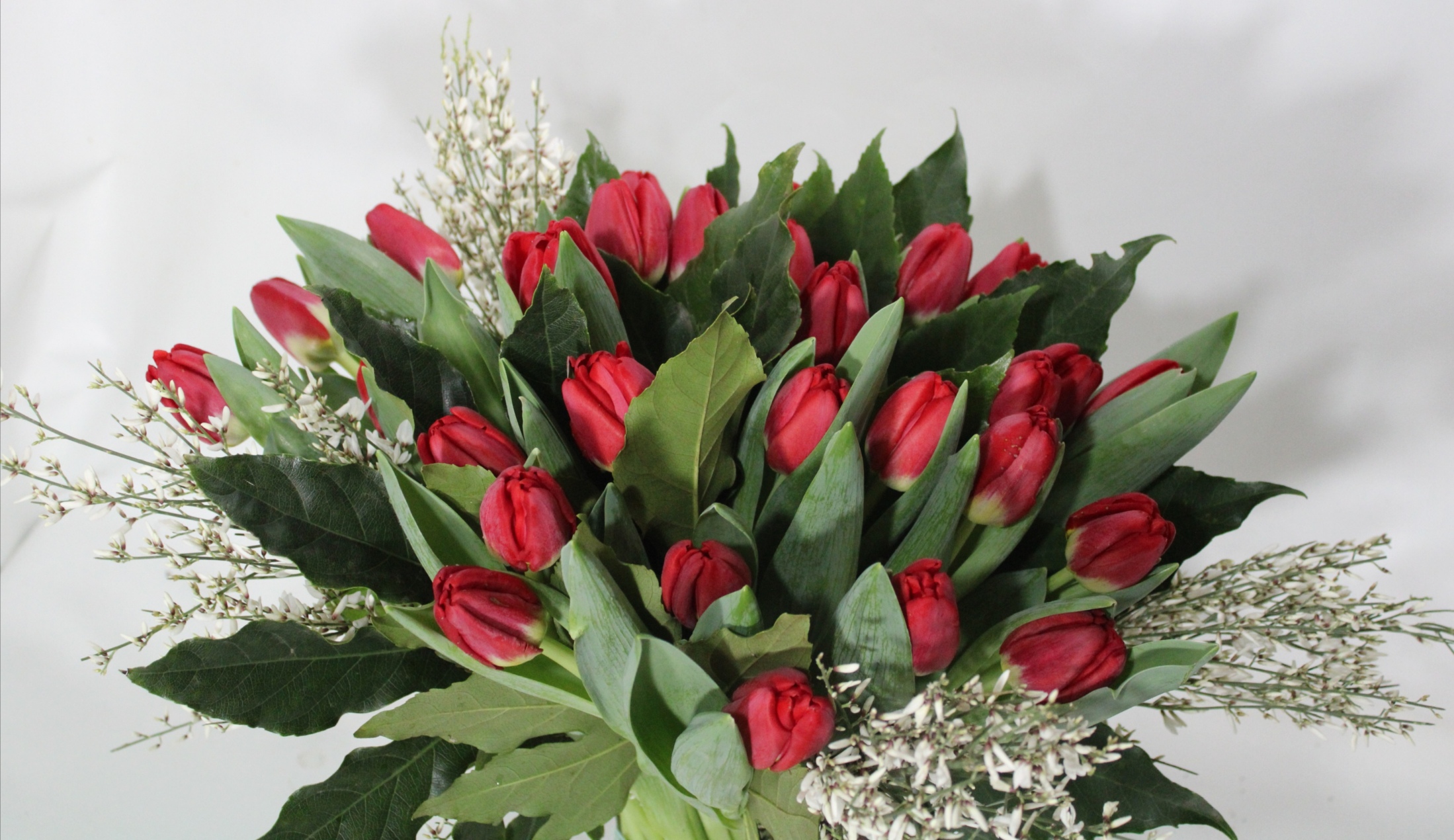 Abbonamento Tulip