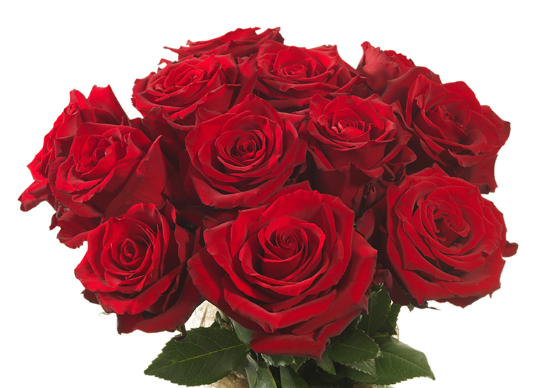 Rose rosse extra stelo lungo